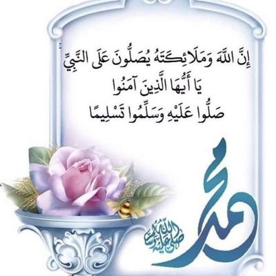 Soliman16955's profile picture. 