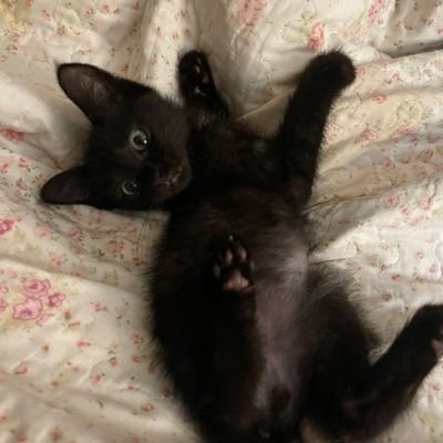 babyy123321's profile picture. 