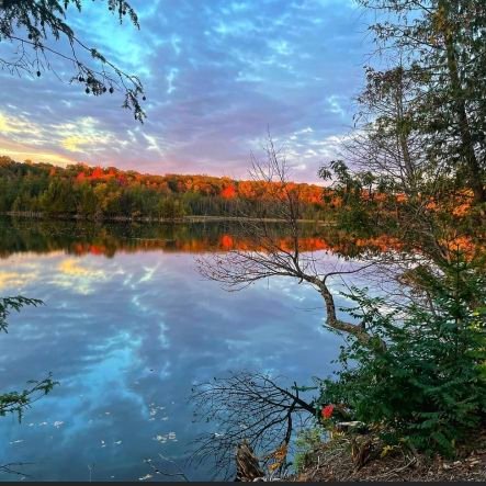 hanseb2020's profile picture. unapologetically