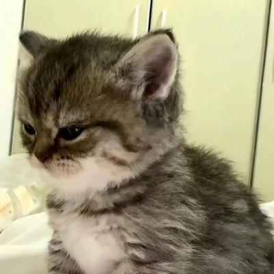 wertsoyoung's profile picture. ⠀⠀ ⠀⠀    ℛiize still rise ⠀⠀ ⠀⠀ ⠀⠀ ⠀⠀ ⠀⠀ ⠀⠀ ⠀⠀ ⠀⠀ ⠀⠀ ⠀⠀ ⠀⠀ ⠀⠀