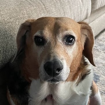 RockyMntBlue's profile picture. 21 findom enjoyer
$Damory04