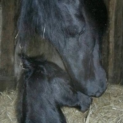 kkimberlygayle's profile picture. dark glama | Forgive Me Father Restock End of Month