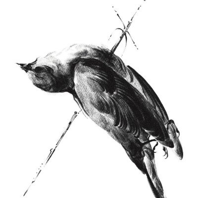 ssav1or's profile picture. @nhuciferr ᥫ᭡