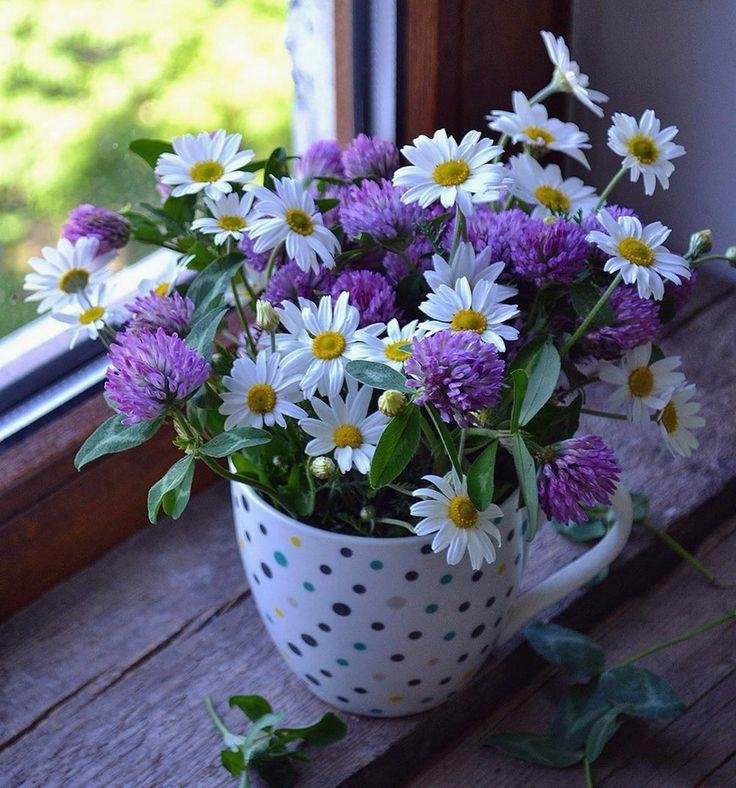 EJankins13701's profile picture. "Living the decentralized dream."