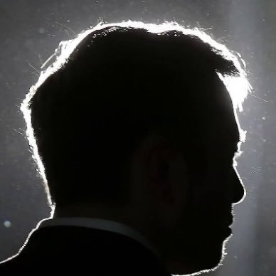 e__l0nmusk_'s profile picture. The CEO-charismatic chief of electric car maker Tesla and rocket manufacturer SpaceX?