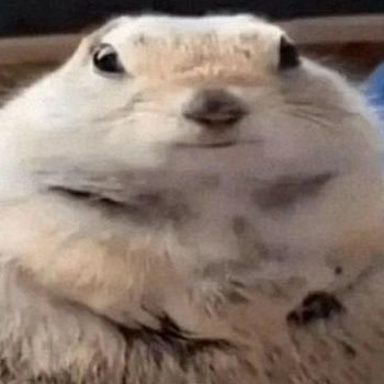 TelmexCedric's profile picture. He/Him | 🇲🇽 | Modder de FNF y Aspirante a Creador de contenido.