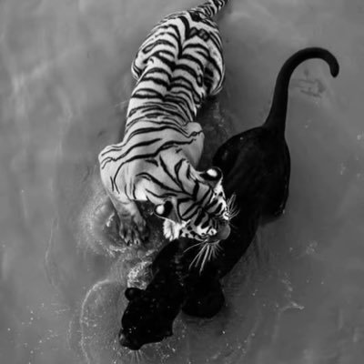 l7v_y's profile picture. 