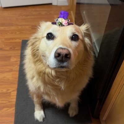 mickd2011's profile picture. *all views and opinions are my own*