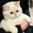 LIHAOZEZE's profile image