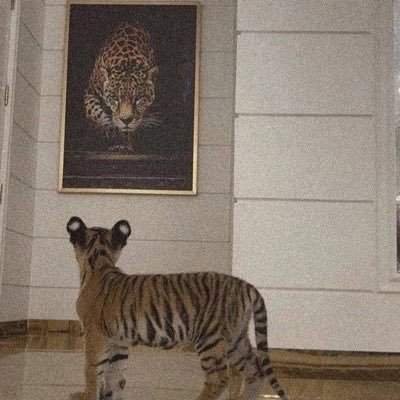 Helenevale20328's profile picture. 🧮 Evolutionary ELM + Price improvement seeker | The future is programmable