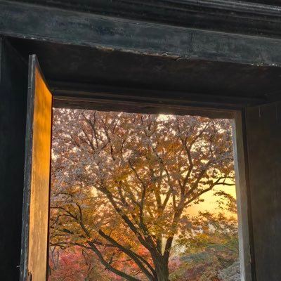 meng_shou1986's profile picture. 