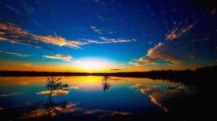 RachaelHel63001's profile picture. Work consistently; success follows.