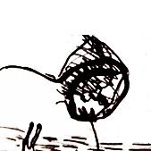 InvitroNocebo's profile picture. viens et vois