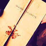 Temos uma coisa que voldemort nao temHarry
Temos?Ron
Uma coisa pela qual vale a pena viverHarry
#HP5  Harry Potter é Eterno 33333