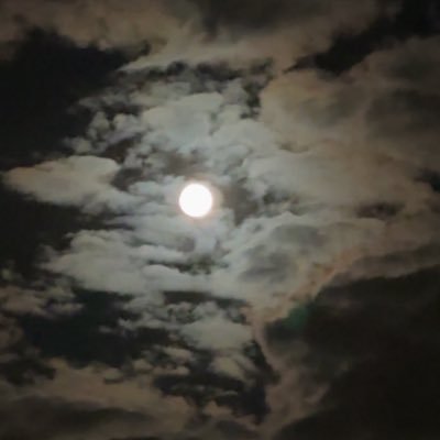 schn4x's profile picture. 