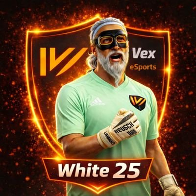 LPJstam5's profile picture. Capitán de fifa  @vex