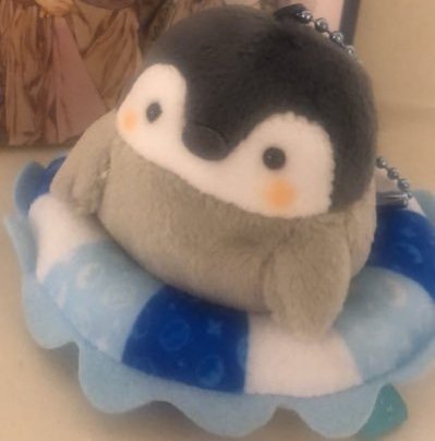 Akhiles89485438's profile picture. 