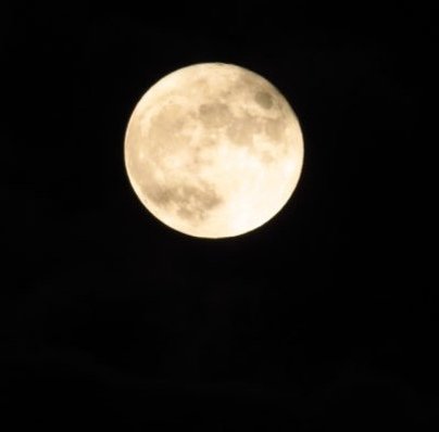 Aku02194948's profile picture. 