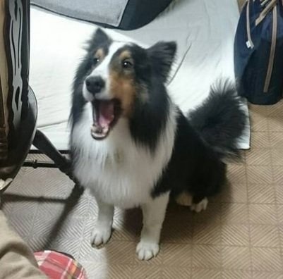 AlankritaBaner3's profile picture. 