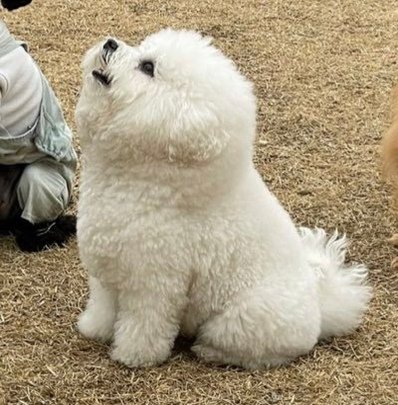 AMasipogu's profile picture. 