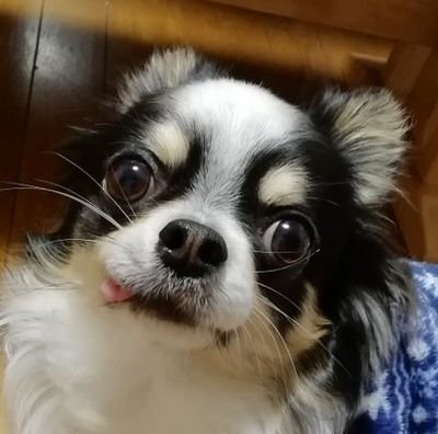 Anandya39163665's profile picture. 