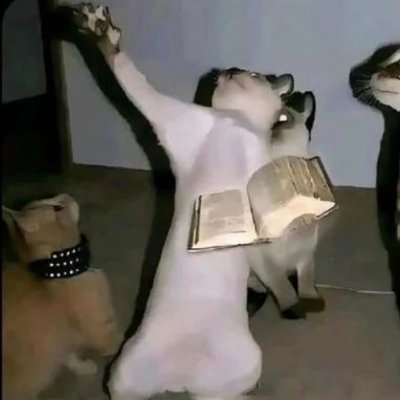 nights_alex's profile picture. ✝️ Proud Follower of Christ ✝️
Catholic • Jesus is King
Pro Life | Anti-War | Anti-Death Penalty
Radical Christian. All for His glory ✝️