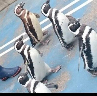 Chandrabhusanr3's profile picture. 