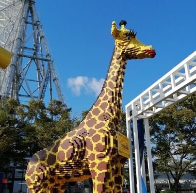 Dayanan01217950's profile picture. 