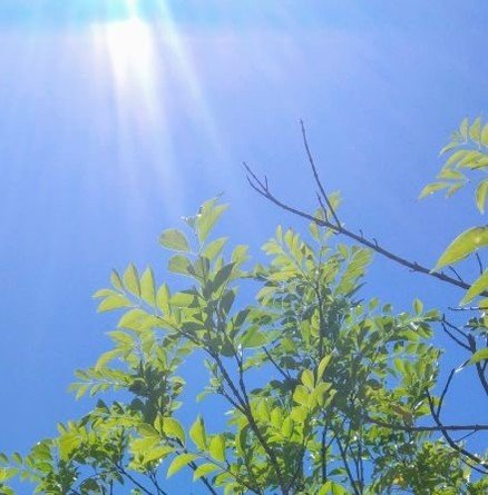 Hsisjn4's profile picture. 