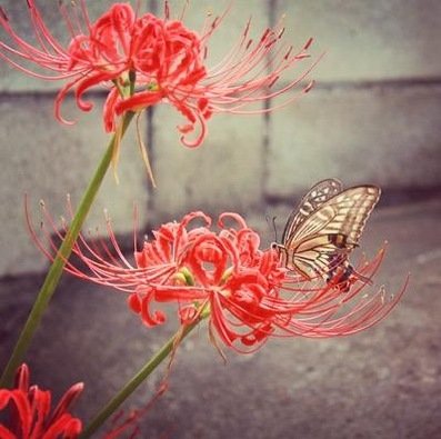 iii3365's profile picture. 