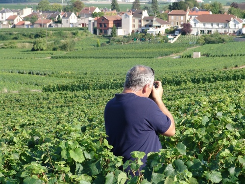 RaulMarianetti's profile picture. 