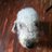 speedmicester's profile image