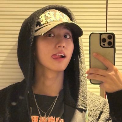 hanjiswt's profile picture. stay ; fan account ; low profile