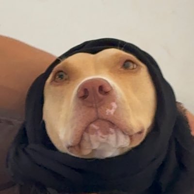 peramoss_'s profile picture. be fucking nice.