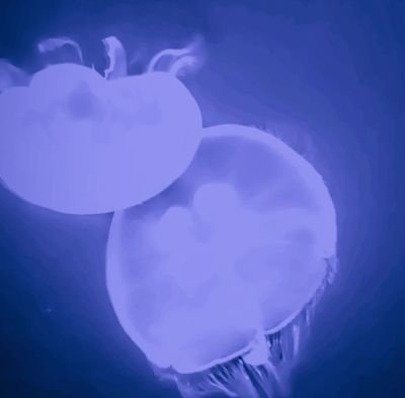 Kk07513608's profile picture. 