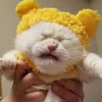 KumarGa97320703's profile picture. 