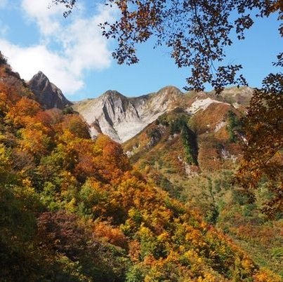 KumarUpadyaya's profile picture. 