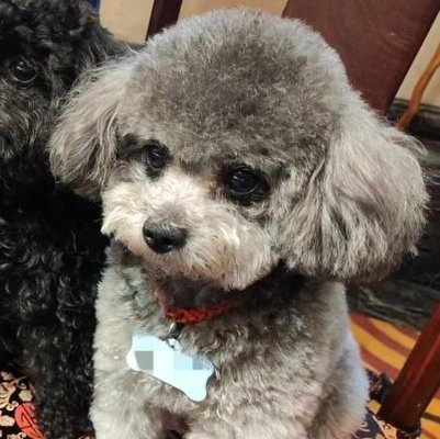 KunduMina's profile picture. 