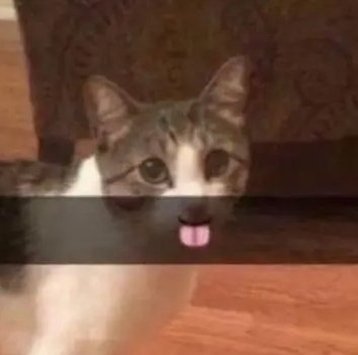 ManishK47387464's profile picture. 