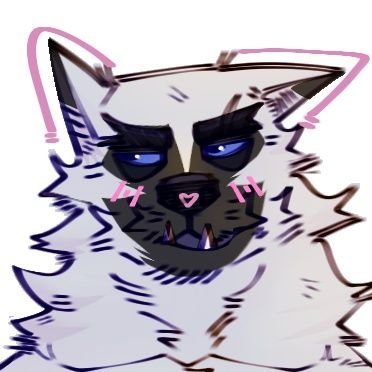 Flurkii's profile picture. 19 | Sometimes suggestive (🔞)