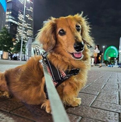 MansurA54424997's profile picture. 