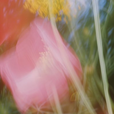 glameowr's profile picture. . . . digital diary 🥣🍥