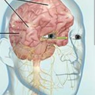 MakerWidow23528's profile picture. Nationalist. Truther. Proud. 
Anglo+German+
GermanicFrench+SouthernItalian
If you cant handle the whole slice, dont go cherry picking; Go cotton picking.