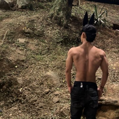 jeanpisitoft's profile picture. 