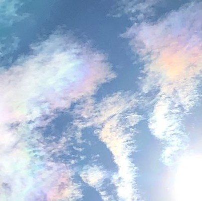 Meghana80504018's profile picture. 