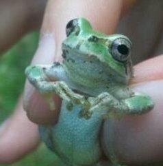 MiliGup91418495's profile picture. My life my rules my attitude 🤘✌️🤪