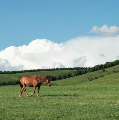 MilonGhosh18754's profile picture. 