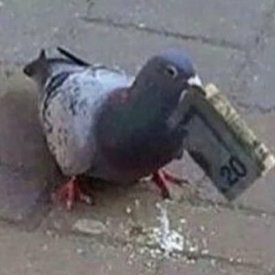 ovariancyst4's profile picture. ☆ 28 ☆ hopeful ☆ wrong ☆ sophie 4ever ☆