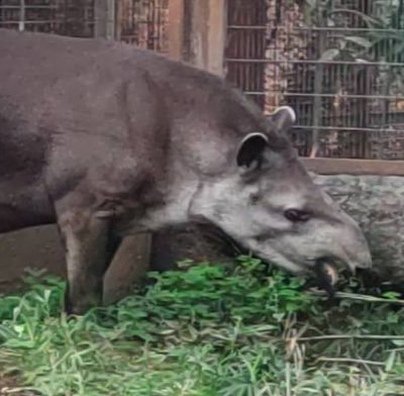 mohdAnwarWarsi1's profile picture. young leaders of Samajwadi party