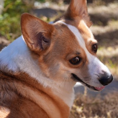 Mamizu_Camera's profile image